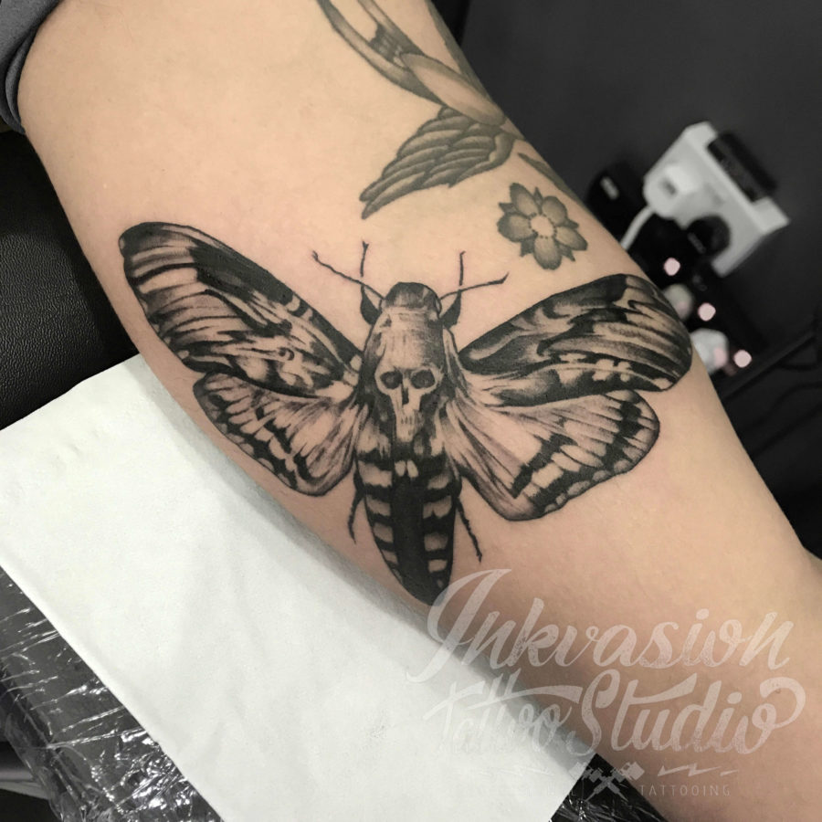 Skull Moth Tattoo