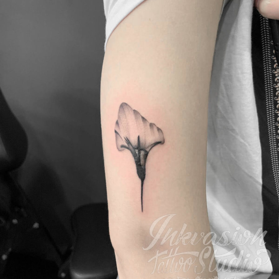 X-Ray Calla Lily Tattoo